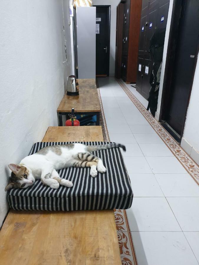 Starfish Alley Hostel Da Nang Bagian luar foto